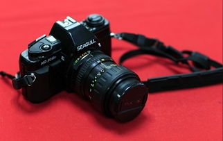 單反與工業相機品牌全覽 從藝術創作到精密制造的視覺工具